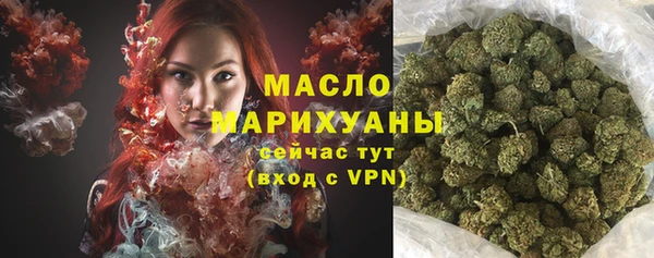 дмт Алзамай