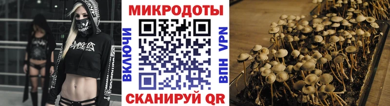 Галлюциногенные грибы MAGIC MUSHROOMS  Дмитриев 
